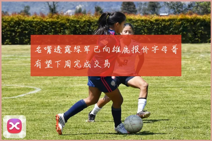 名嘴透露绿军已向雄鹿报价字母哥有望下周完成交易