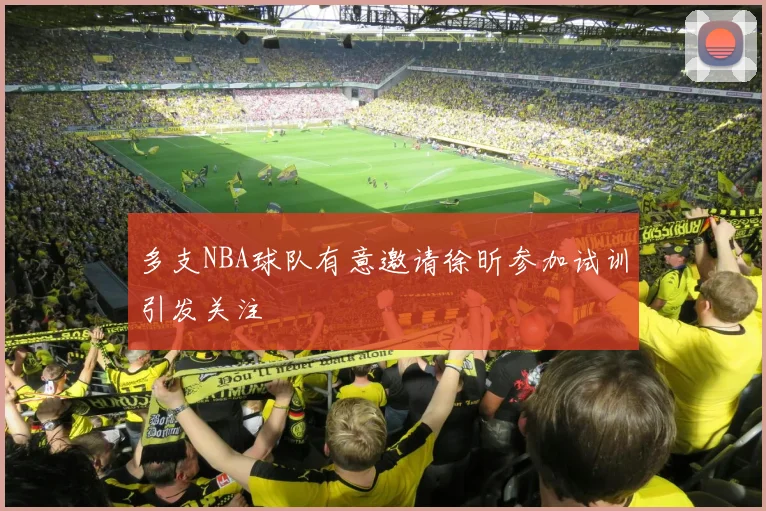 多支NBA球队有意邀请徐昕参加试训引发关注